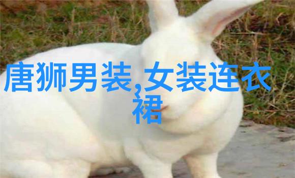 LKSD莱克斯顿西装专辑 温文儒雅 气宇轩昂 nbsp